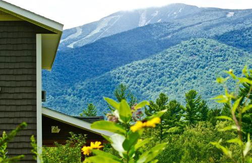 Lookout Mountain Chalet - Foto 63