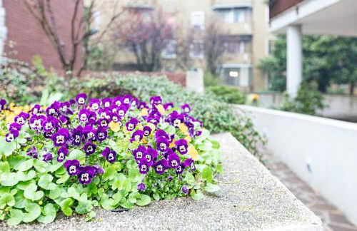 Assunta Exclusive Apartment with Balcony - Top Collection - Foto 22