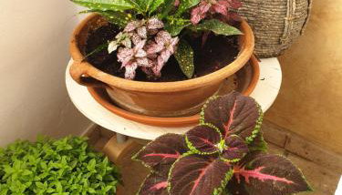 Aretousa Deluxe Downtown Apartment - Foto 5