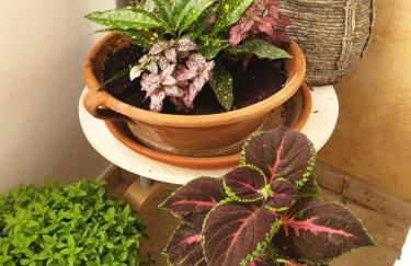 Aretousa Deluxe Downtown Apartment - Foto 5