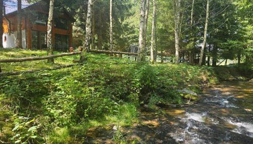 Nad Potokiem z Alpakami - Foto 4, Garden