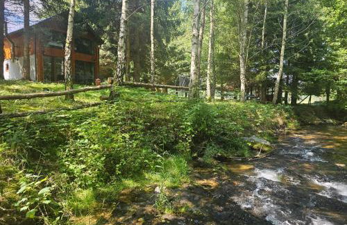 Nad Potokiem z Alpakami - Foto 4