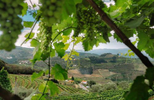 Vila Marim Country Houses - Photo 30