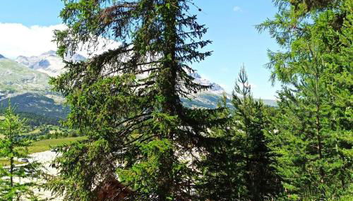 Appartement duplex au pied des pistes - Foto 4