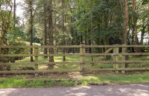 Washburn Lodge - Photo 23