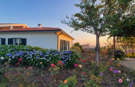 Coja Mountain Perch - Foto 30