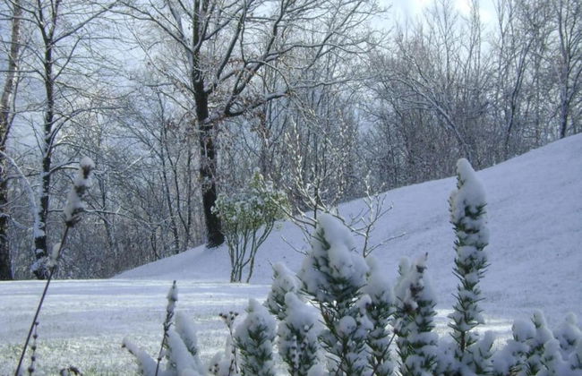 Cottage in Italy With Alpine Fireplace - Foto 38