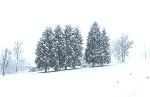 Casa Le Triestine - Foto 32