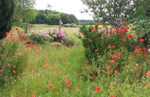 Haus Rosengarten- Ruhige Ferienwohnungen im Grünen - Foto 55