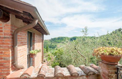 Romantic farmhouse villa Pallina to sleep 5 guests - Photo 45