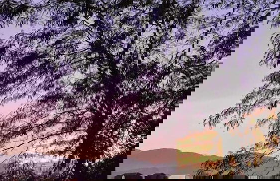 Option Apart Hotel - Recreio Shopping - Foto 18