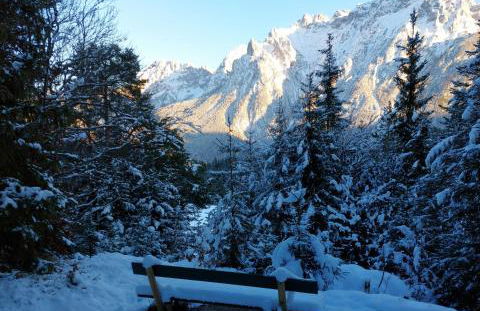 Haus Sonnenruh - Foto 37