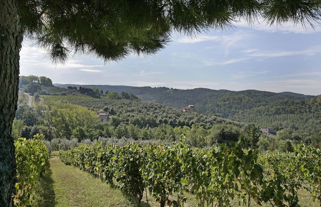 Il Torrino Country Resort - Photo 36