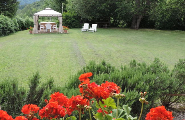 Agriturismo Colli di Travale - Foto 35