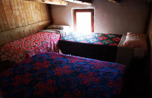 Pinnettu sardo casa di campagna in ecosistema insetti e animaletti simpatici in condivisione,Leggere attentamente Prima di prenotare - Foto 21