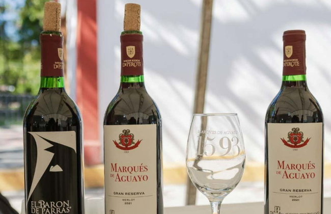 Cata de vinos + Degustación de dulces parreños - Foto 4