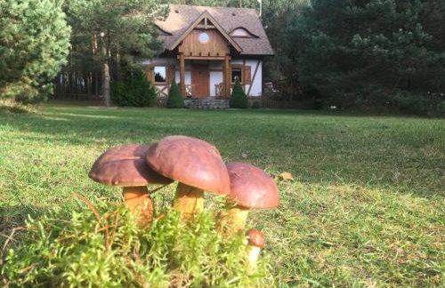 Deluxe Holiday Zdrojowa -Willa typu Alpejskiego w Borach Tucholskich-Całoroczna Balia z jacuzzi-Prywatny las i strumyk -Duża Wiata grillowa - Foto 47