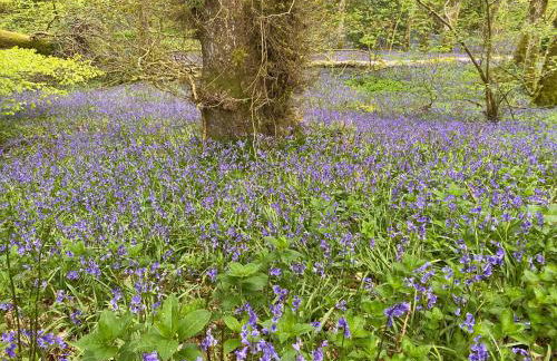 Stables Cottage - Foto 52