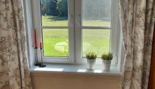 Na skraju lasu - Foto 3