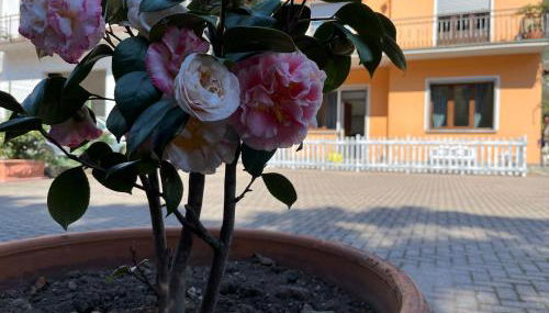 Cà del Fili - Foto 3