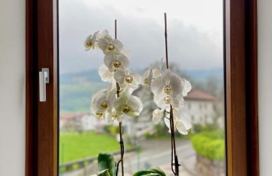 Matxiku Aurre - Foto 8