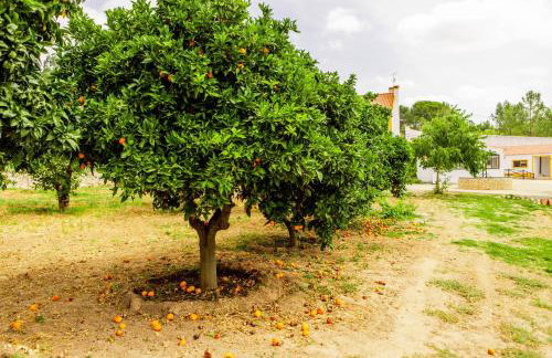 Quinta O Refúgio - Photo 51