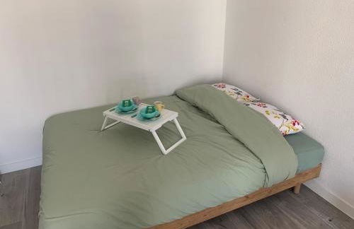 Studio vert idéalement situé gare cœur de ville et accès direct bus futuroscope - Foto 11