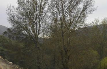 Turismo Rural Macieira Brava - Foto 32