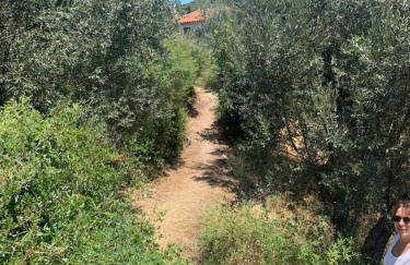 Maison de vacances pour 6 personnes - Photo 50