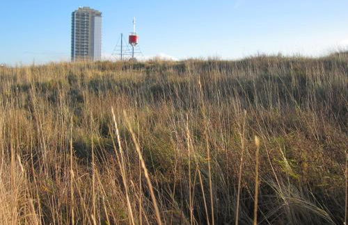 Reetkate am Meer - Foto 41