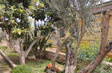 Villa Sargheruoli - Foto 49