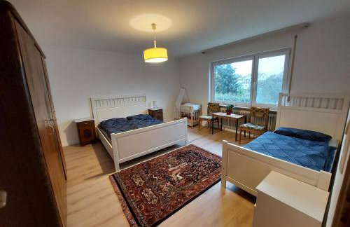 Gemütliche 4-Zimmer Wohnung mit Garten - Foto 2