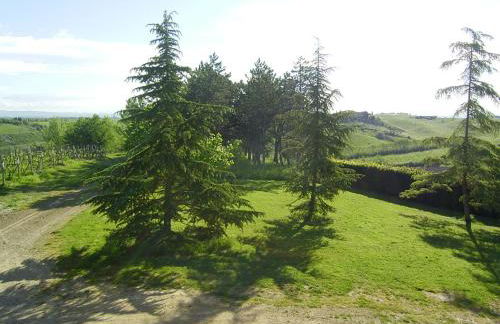 Villa Poggio al Sole Bio Agriturismo private pool - Foto 37