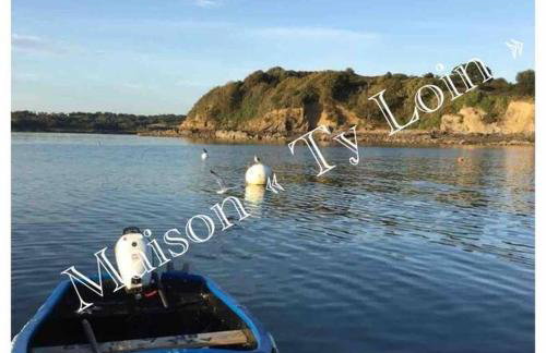 Villa Ty Loin vue mer 8 personnes - Foto 25