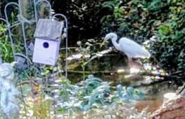 Studio neuf et cosy dans un écrin de nature - Foto 10