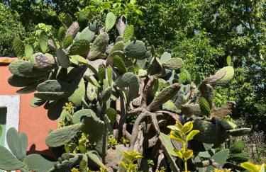 GITES - Mas Saint-Louis - Piscine chauffée - Foto 61