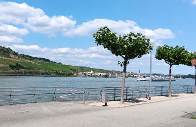 Ferienwohnung Aspisheim - Foto 16