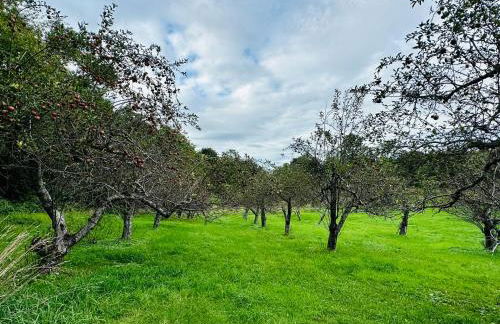 3 Bedroom Hilltop Escape with 5 Private Acres and Hot Tub - Foto 15