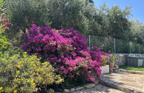 Old stone villa in Apokoronas Villa Nostalgia Kreta - Foto 64