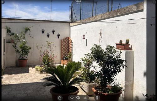 Il Giardino Segreto - Foto 18