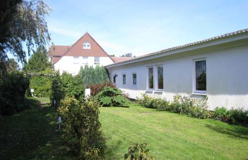 Seepferdchen - Foto 1