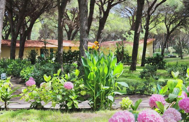 Residence with swimming-pool in Arborea - Foto 15