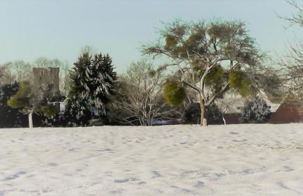 the abberton shepherds hut - Foto 22