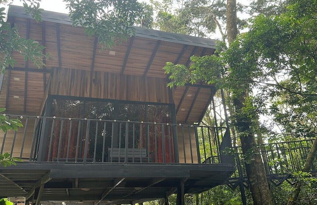 Cabañas Roca Verde Monteverde - Foto 22