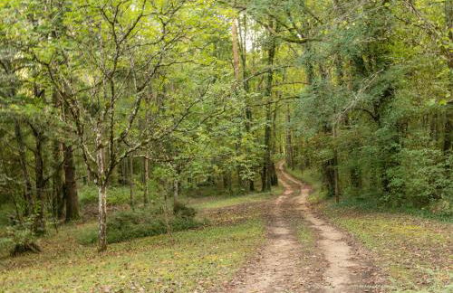 Cosy holiday home with garden - Foto 28