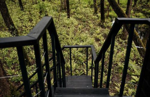 Dziki Las - domki na drzewach - Foto 15