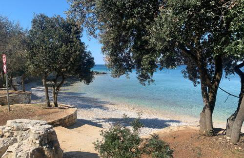 Bale Luxury House - Foto 21