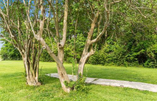 15 Min to LSU & Downtown Oak Hills Place Hideaway - Foto 31