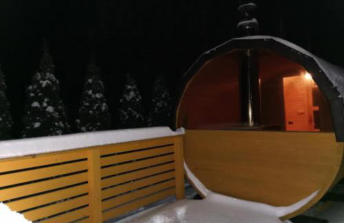 Domki Borowiackie nad brzegiem jeziora - Foto 76