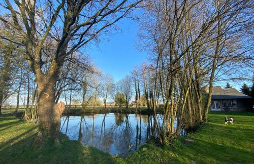 La Maison de l'Etang - Photo 32